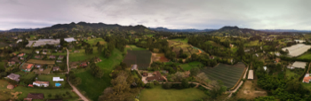  Hacienda de Floricultivo Quillacinga El Carmen Antioquia 