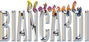 Biancardi-Logo-Chr-180-pix